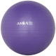 Amila Μπάλα Γυμναστικής GYMBALL 55cm Μωβ